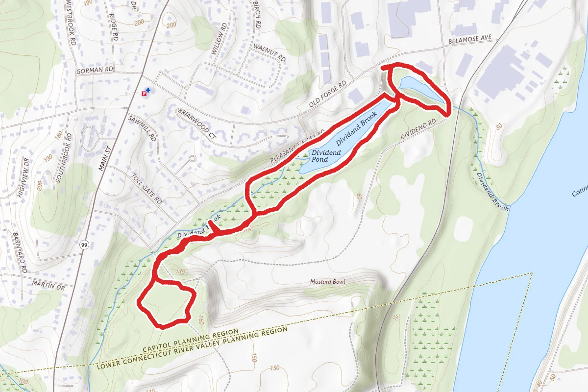 Lower Pond, Upper Pond, June's and Yellow Trail