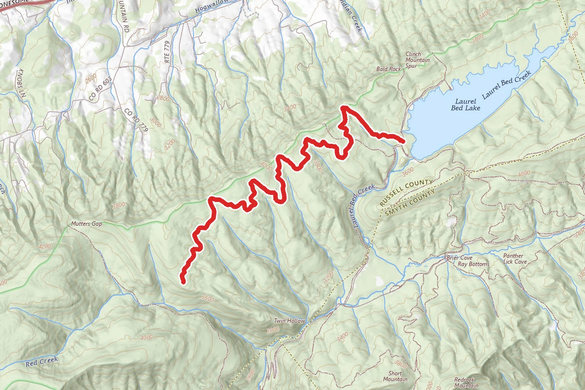 Clinch Mountain Wma Trail