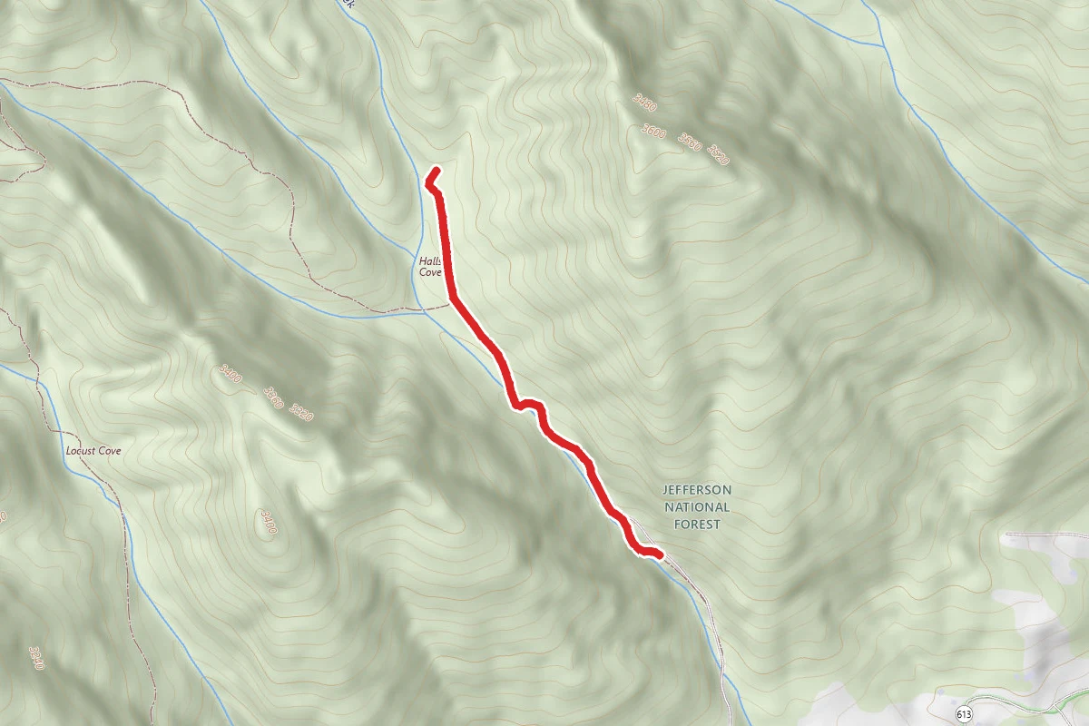 Clinch Mountain Wma Trail