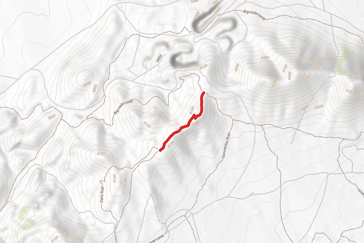 Race Course Loop
