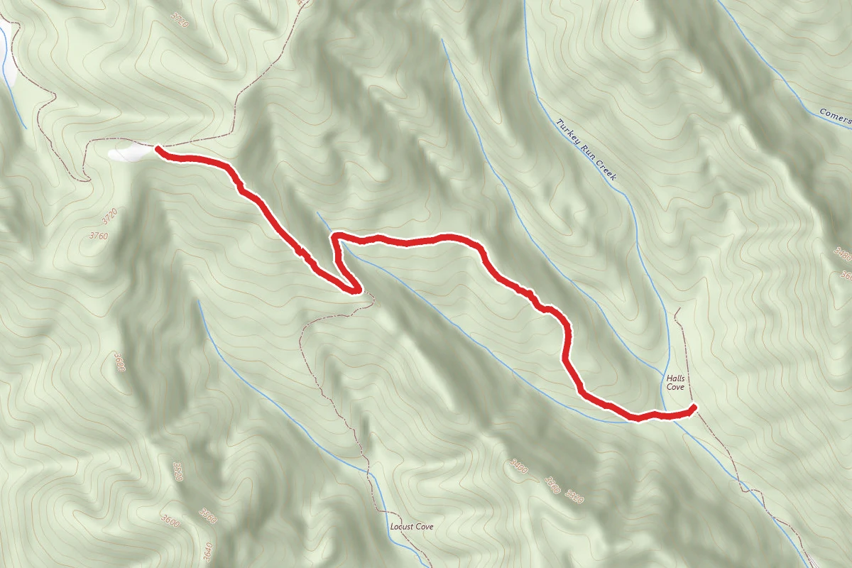 Clinch Mountain Wma Trail