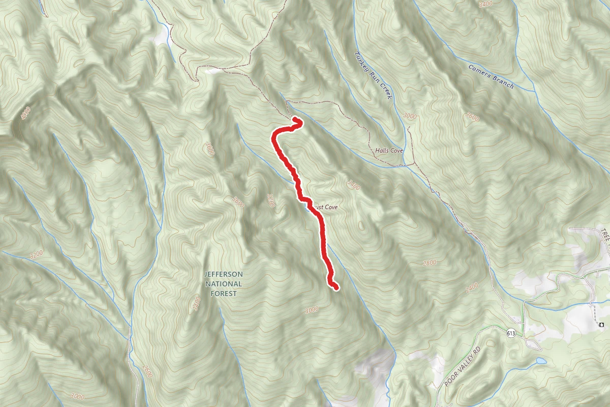 Clinch Mountain Wma Trail