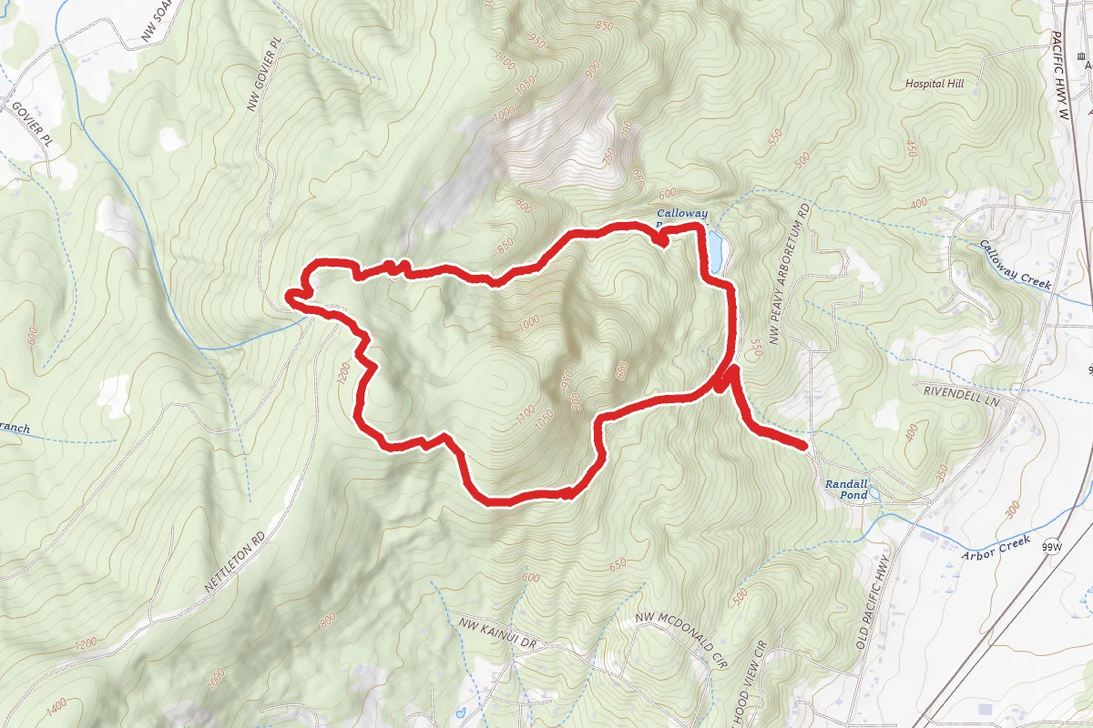 Section 36 Loop Trail