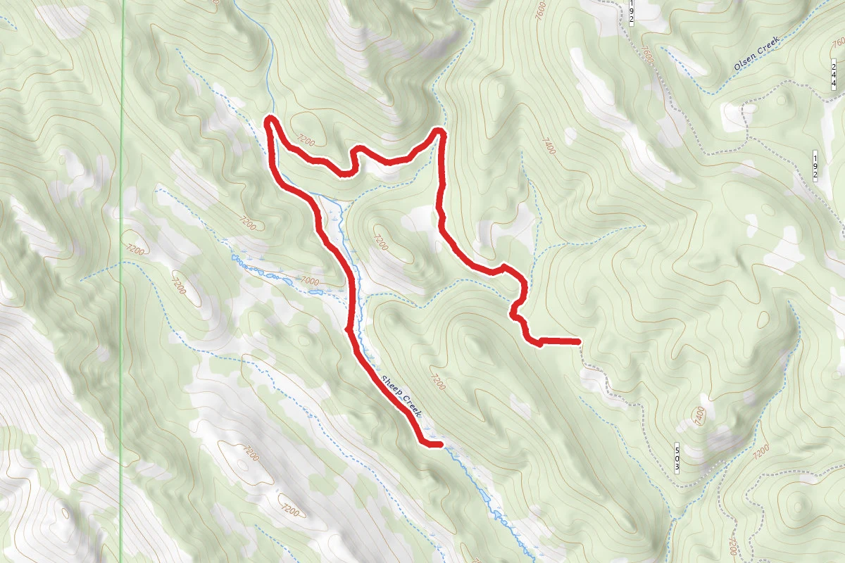 Upper Sheep Creek