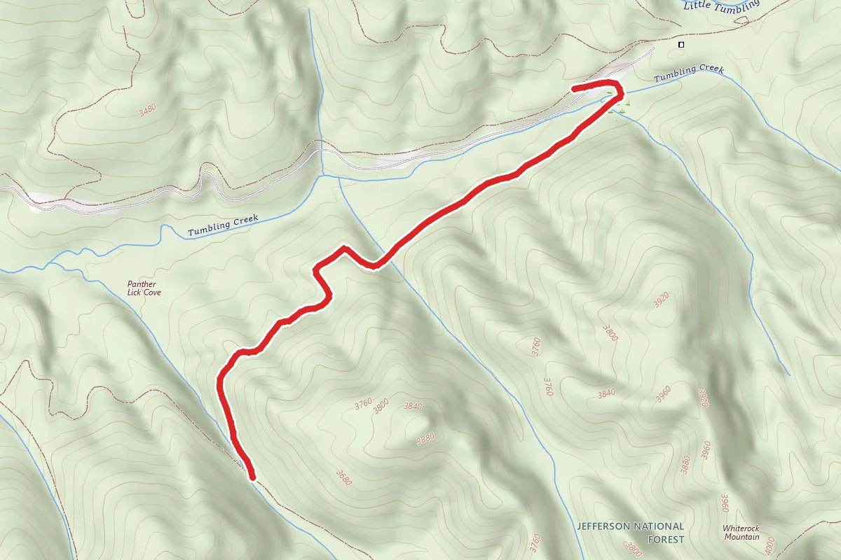 Clinch Mountain Wma Trail