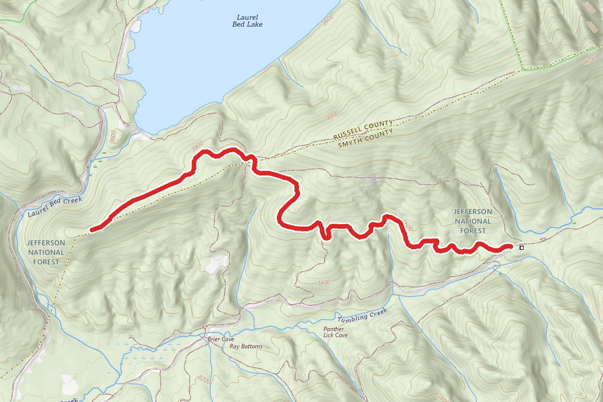 Clinch Mountain Wma Trail