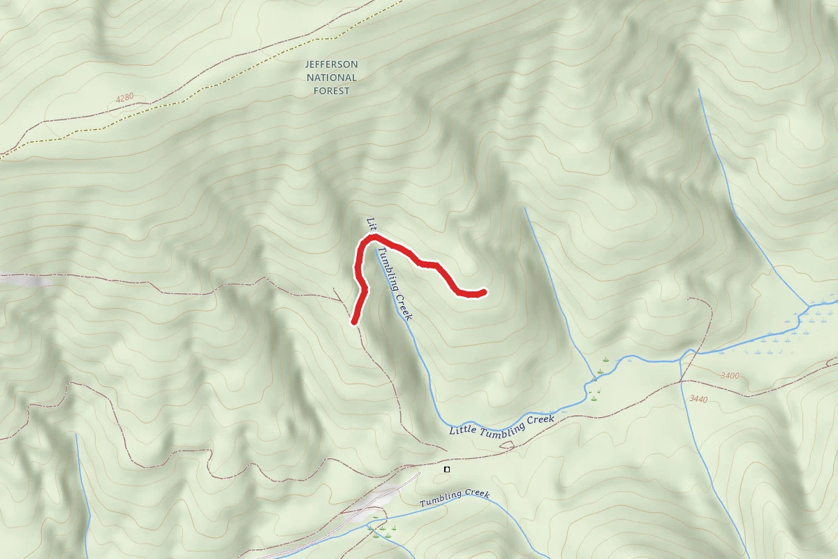 Clinch Mountain Wma Trail