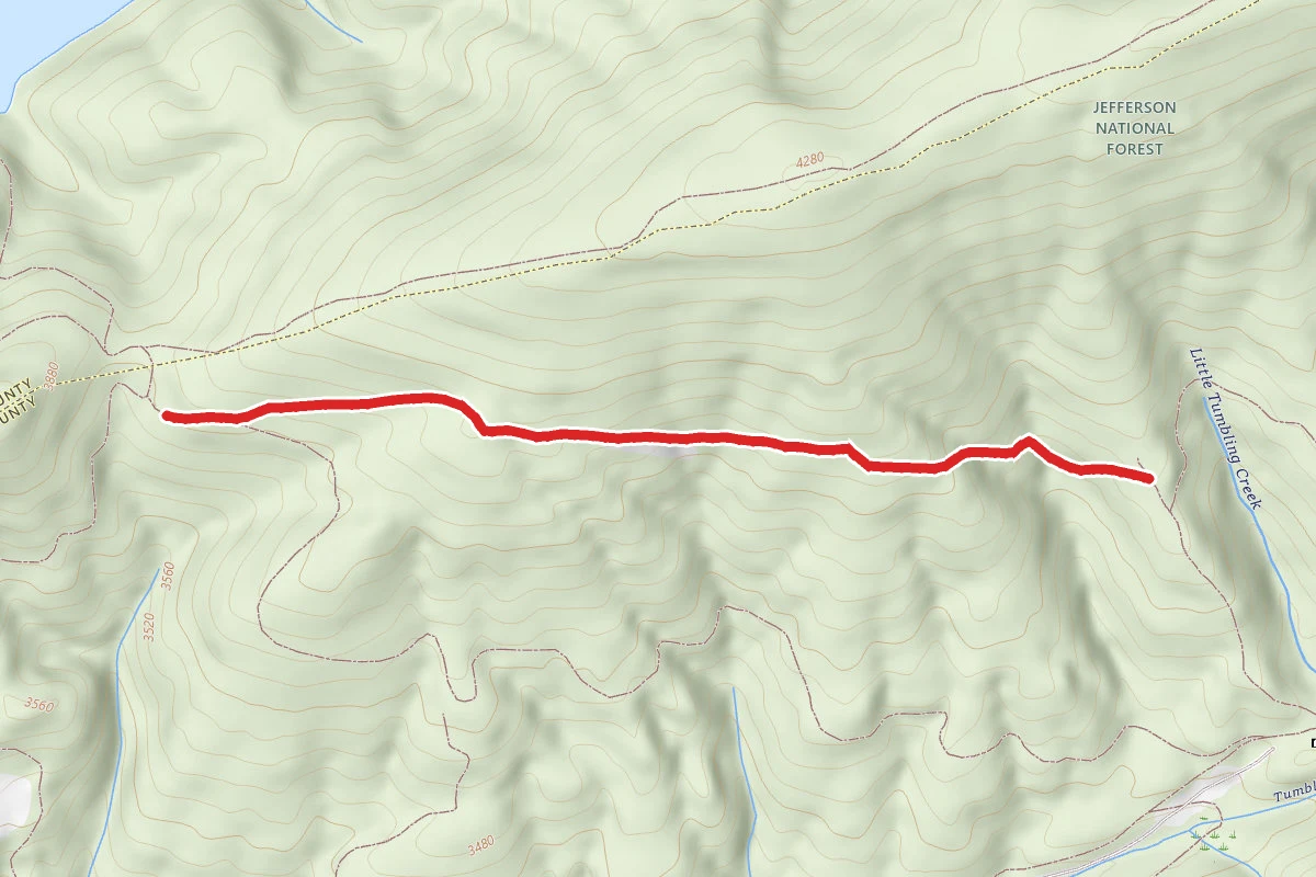 Clinch Mountain Wma Trail