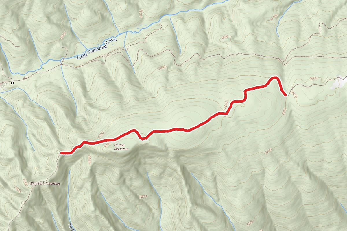 Clinch Mountain Wma Trail