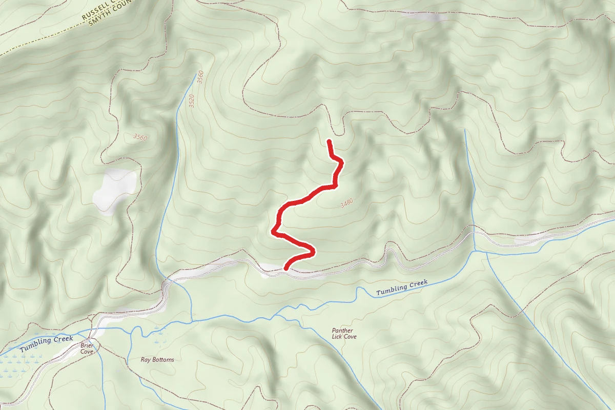 Clinch Mountain Wma Trail