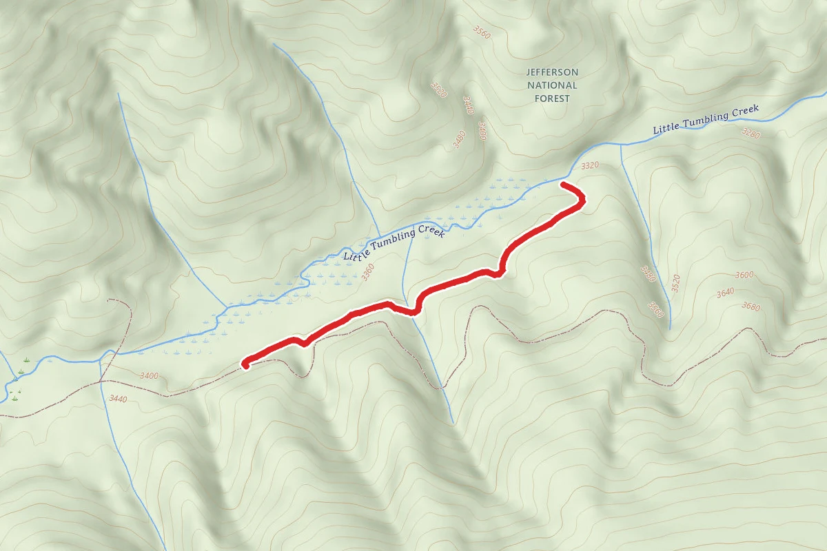 Clinch Mountain Wma Trail