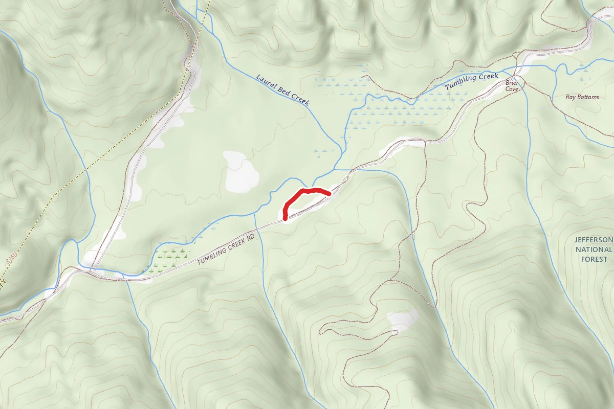 Clinch Mountain Wma Trail