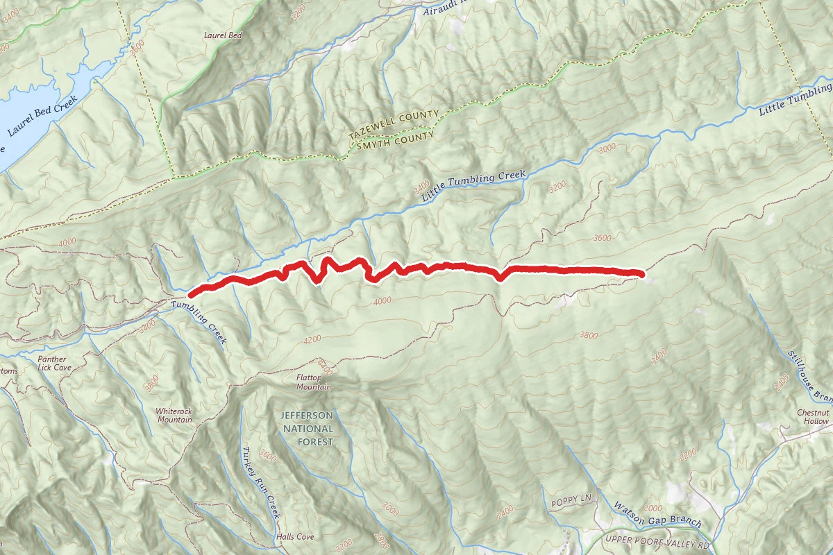 Clinch Mountain Wma Trail