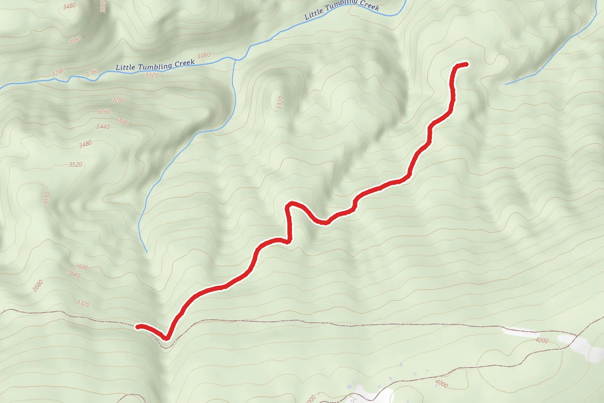 Clinch Mountain Wma Trail