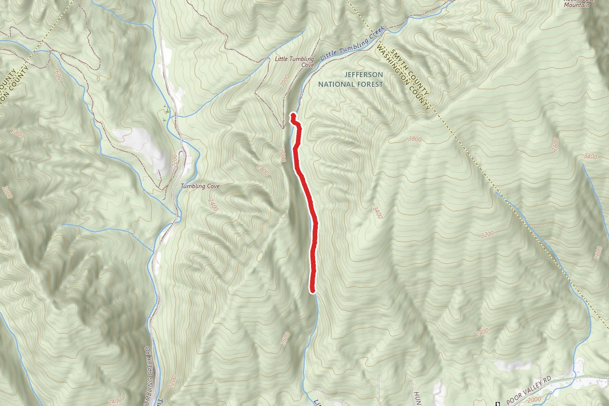 Clinch Mountain Wma Trail