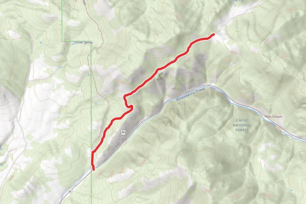 Williams Powerline