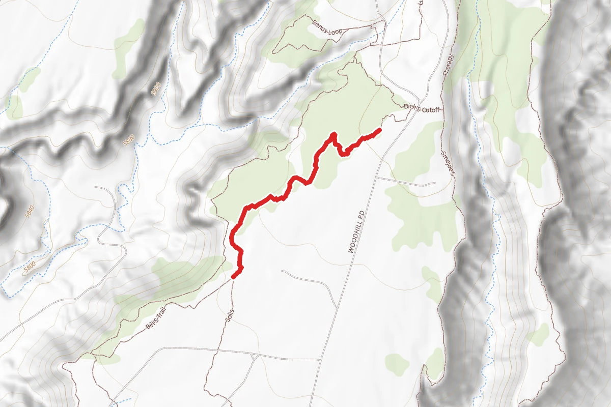 Bill's Trail