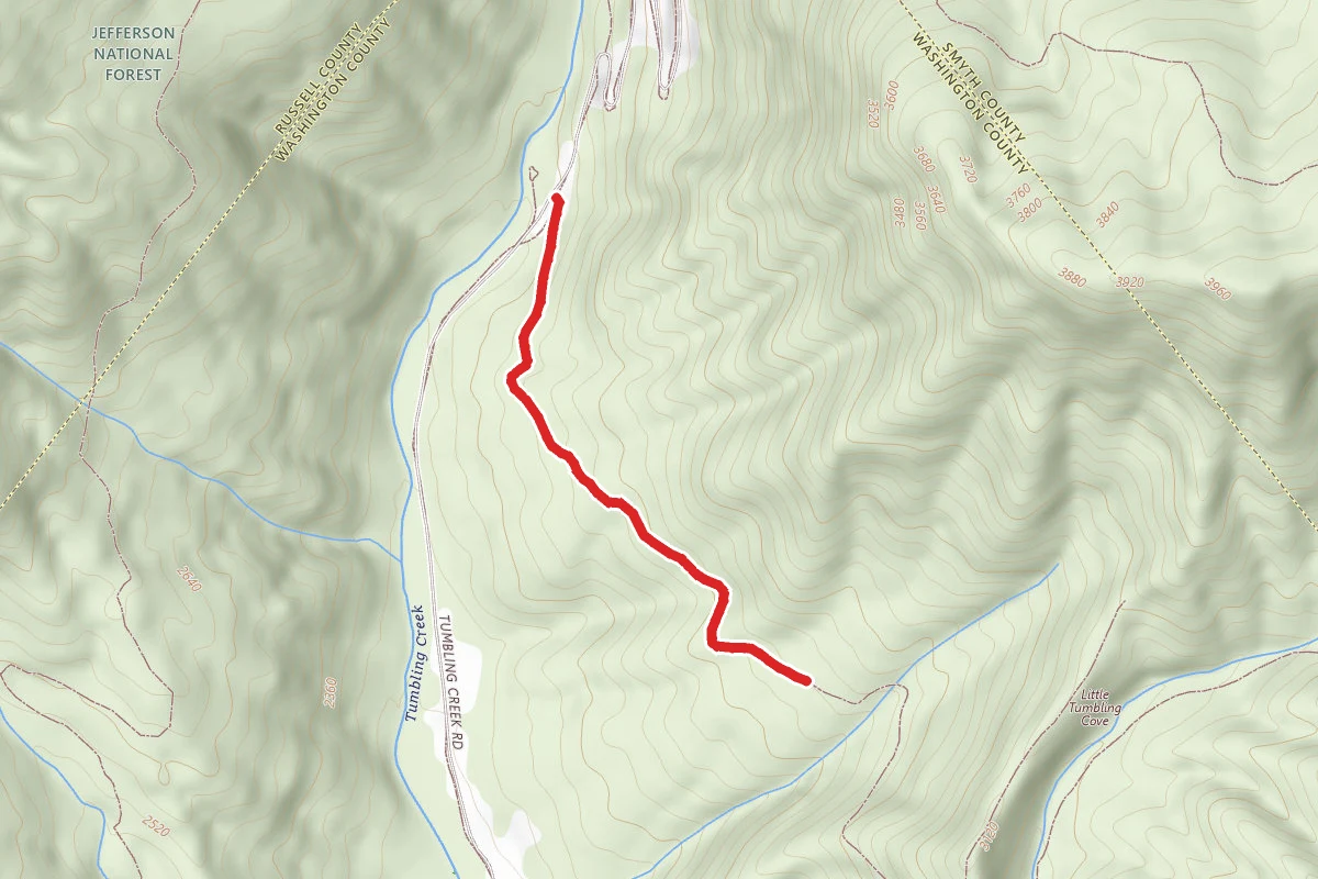 Clinch Mountain Wma Trail