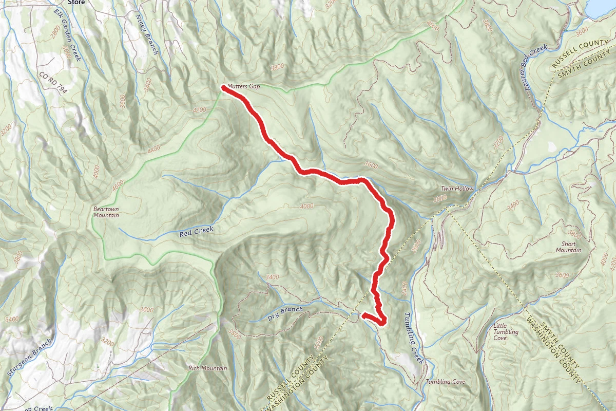 Clinch Mountain Wma Trail
