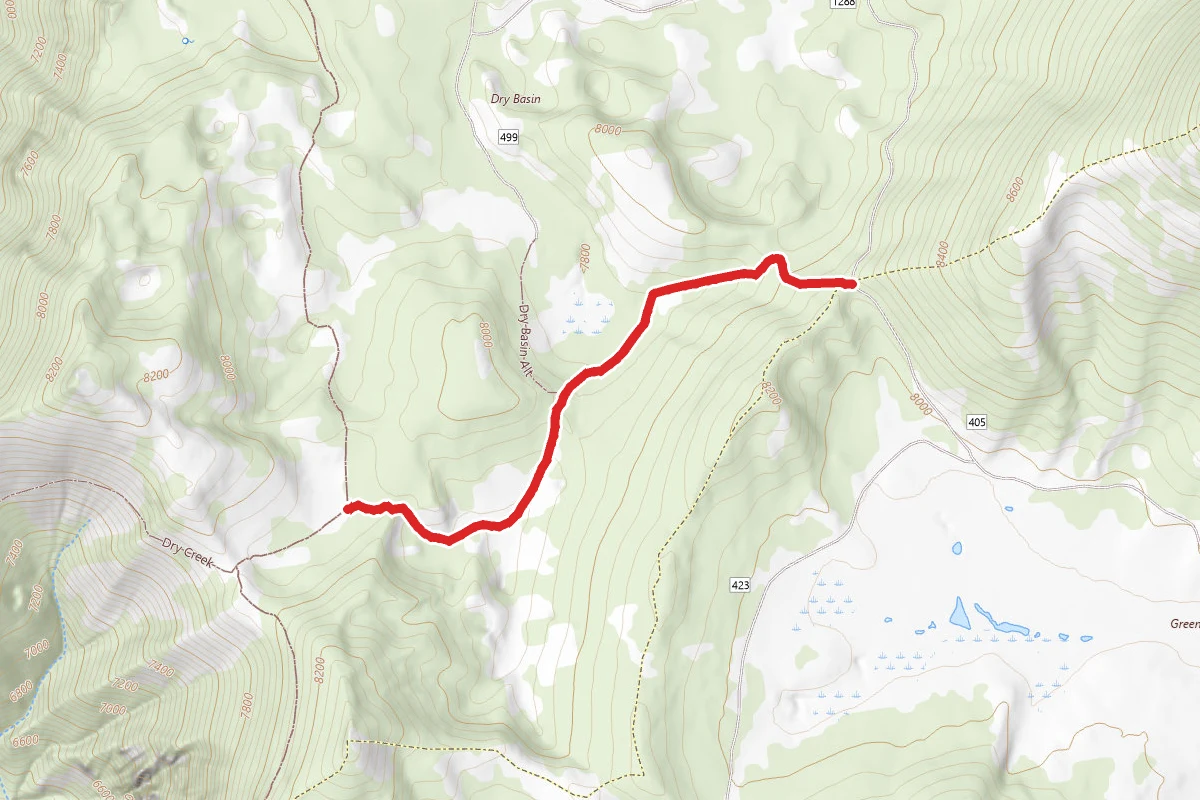 Dry Basin