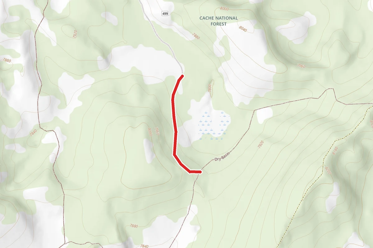 Dry Basin Alt