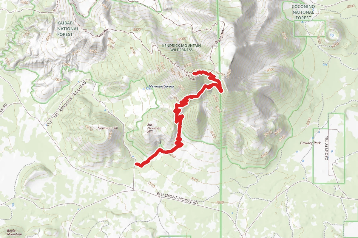 Kendrick Peak Trail
