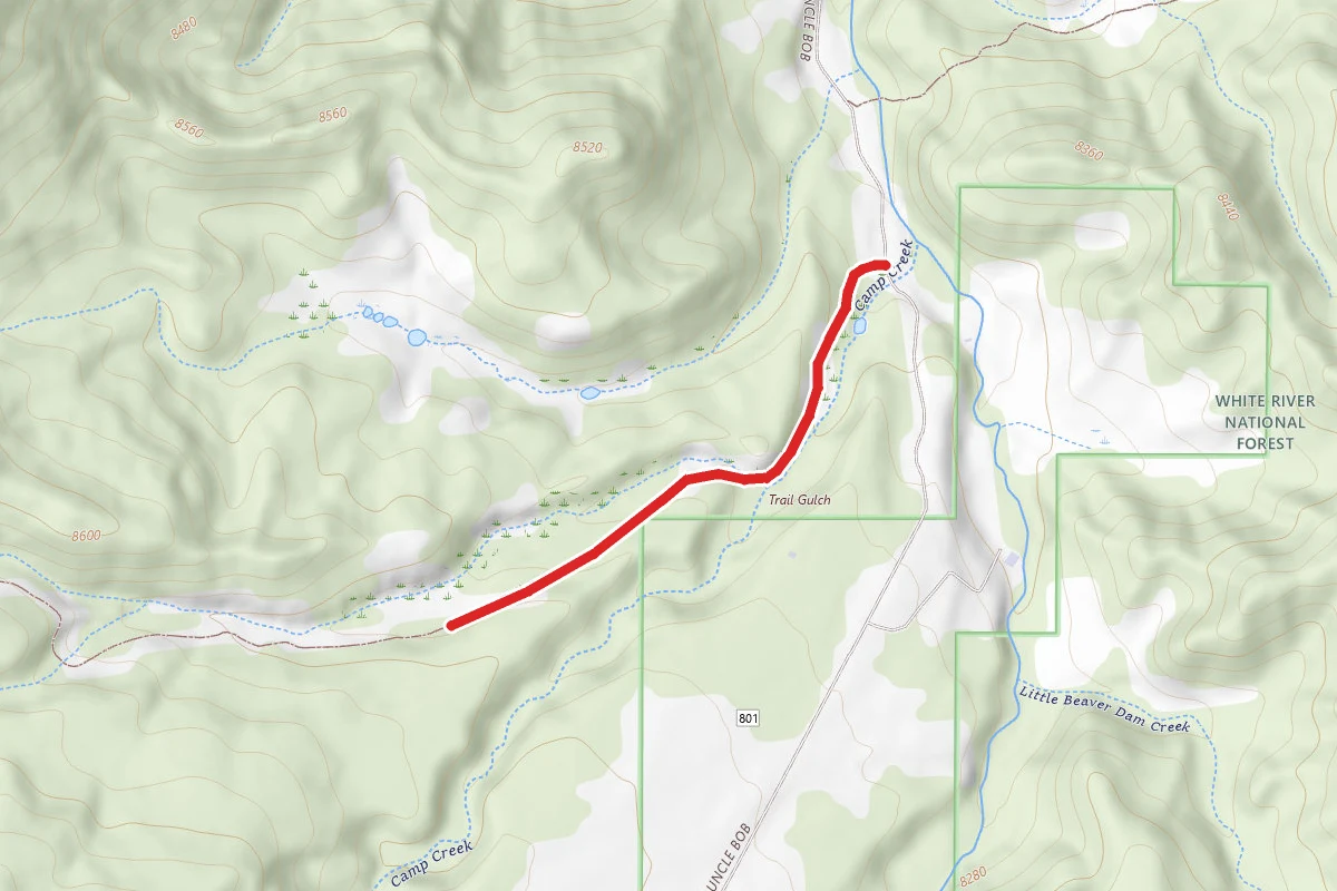 Trail Gulch