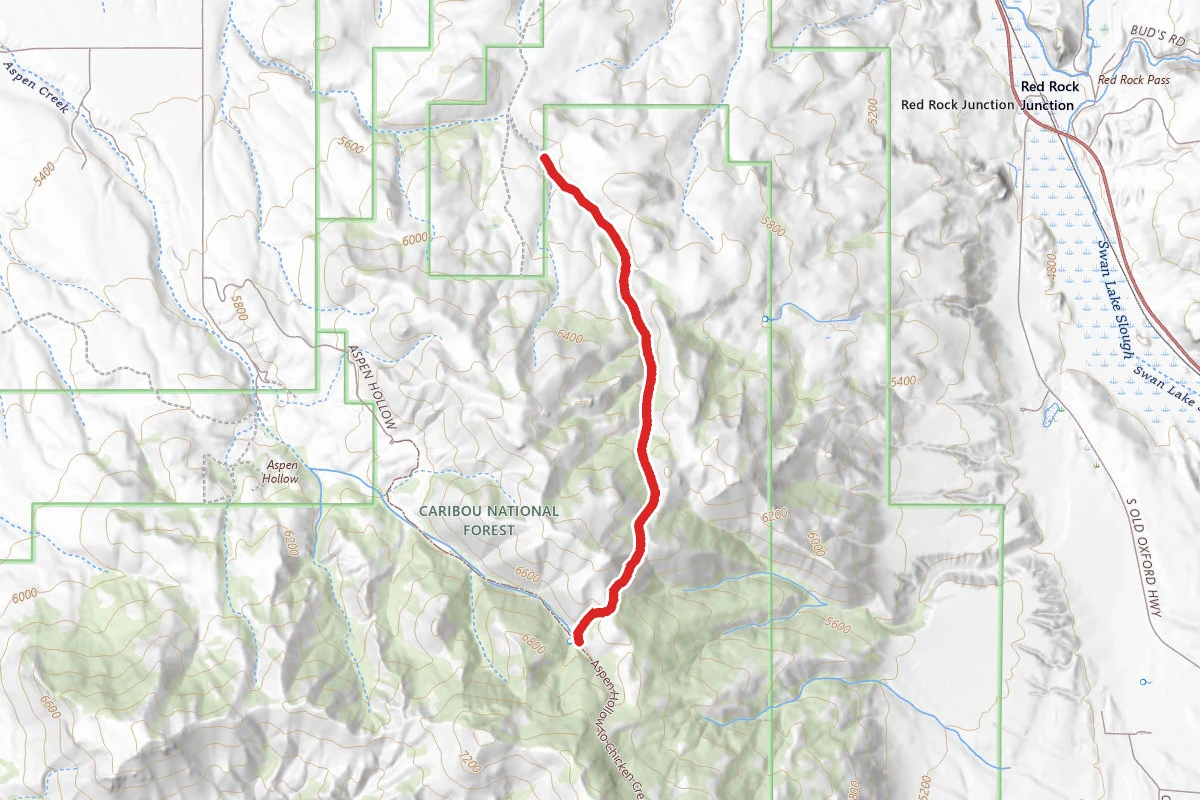 Upper Evans Road