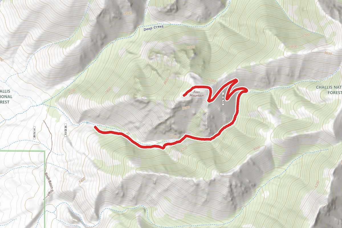 Foss Mountain Trail