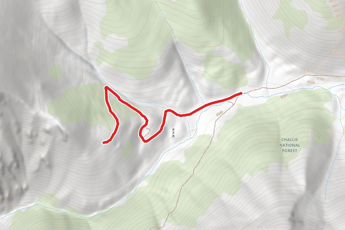 Mormon Gulch Mines