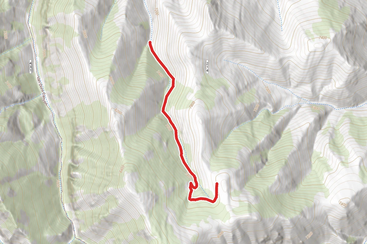 Mikes Trail