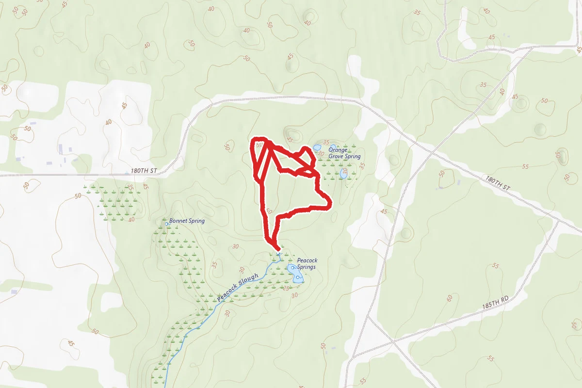 Interpretative Trail