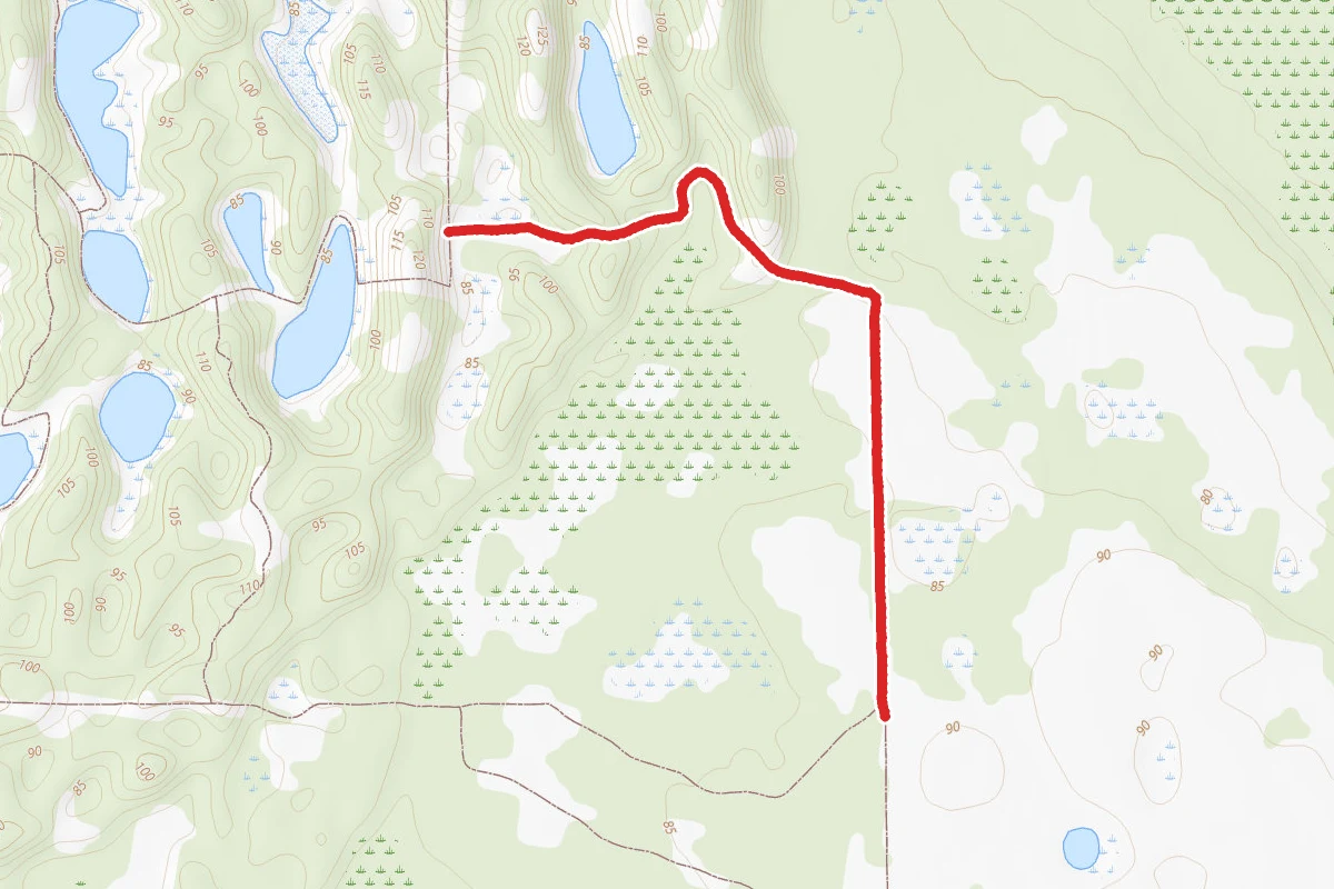 White Trail