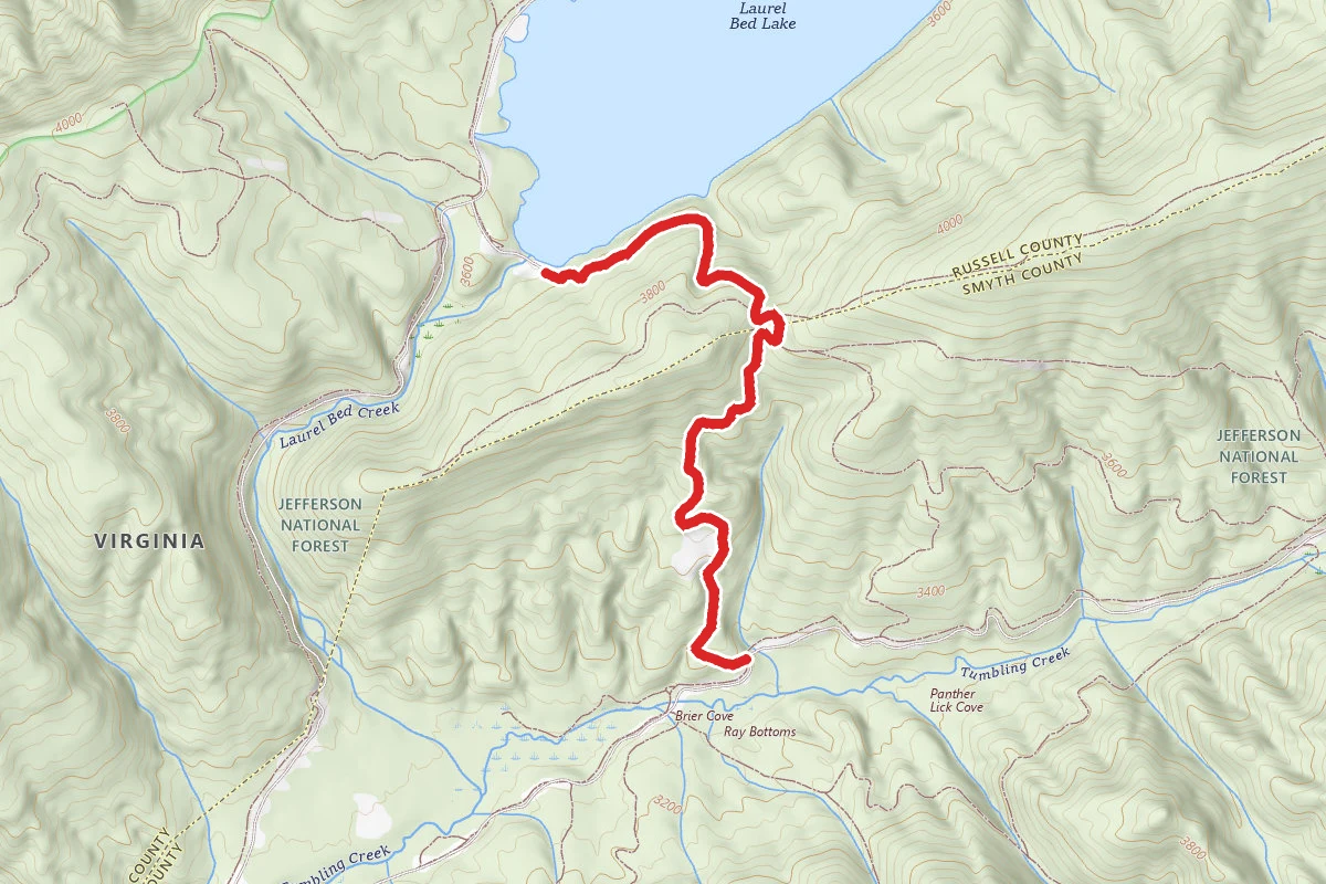 Clinch Mountain Wma Trail