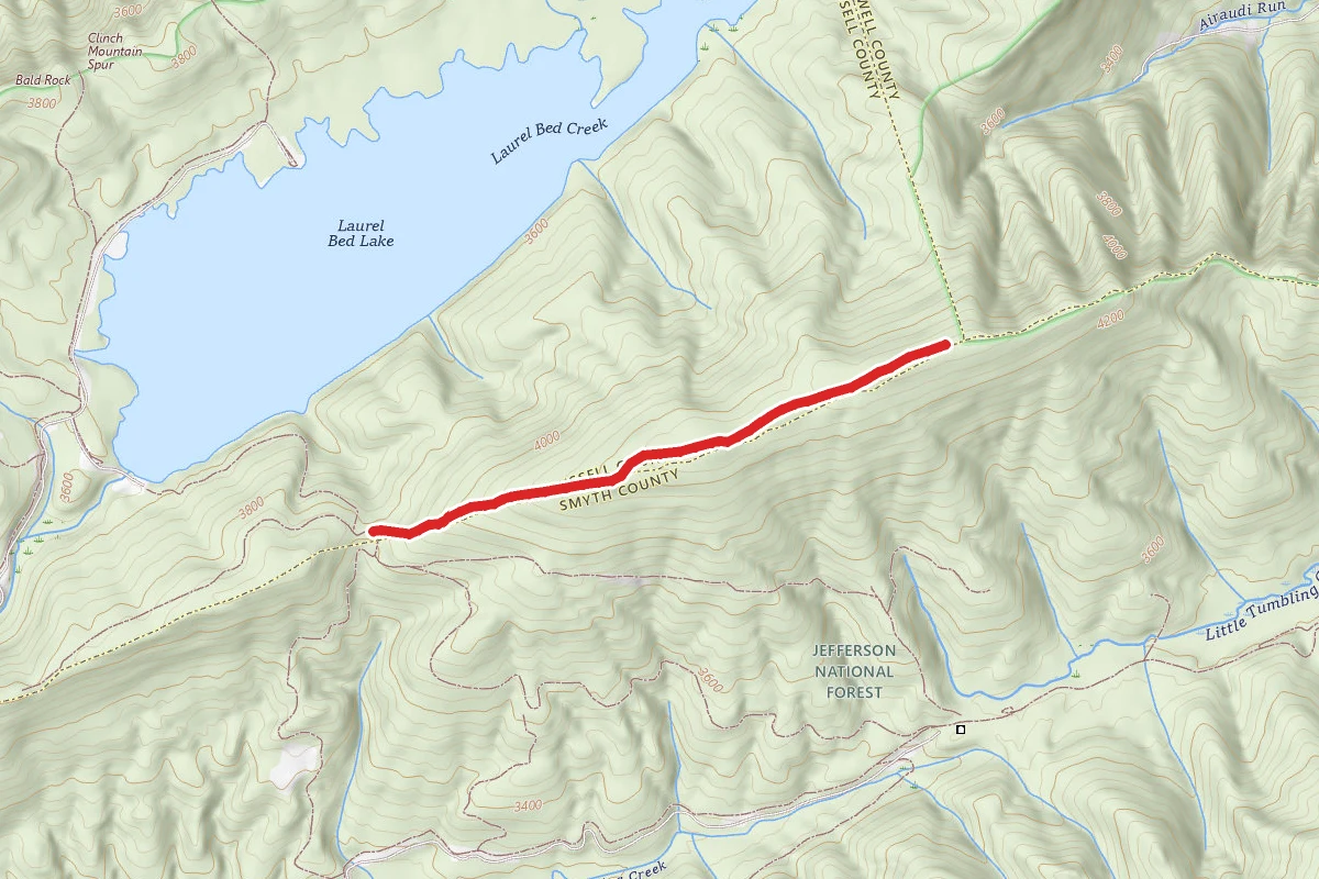 Clinch Mountain Wma Trail