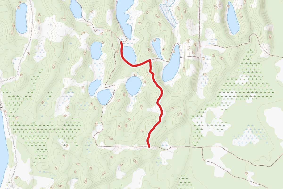 White Trail
