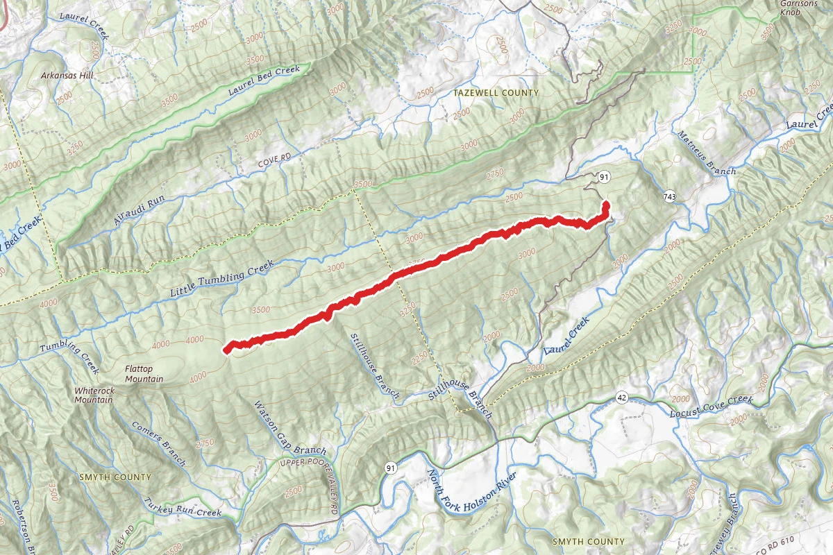 Clinch Mountain Wma Trail