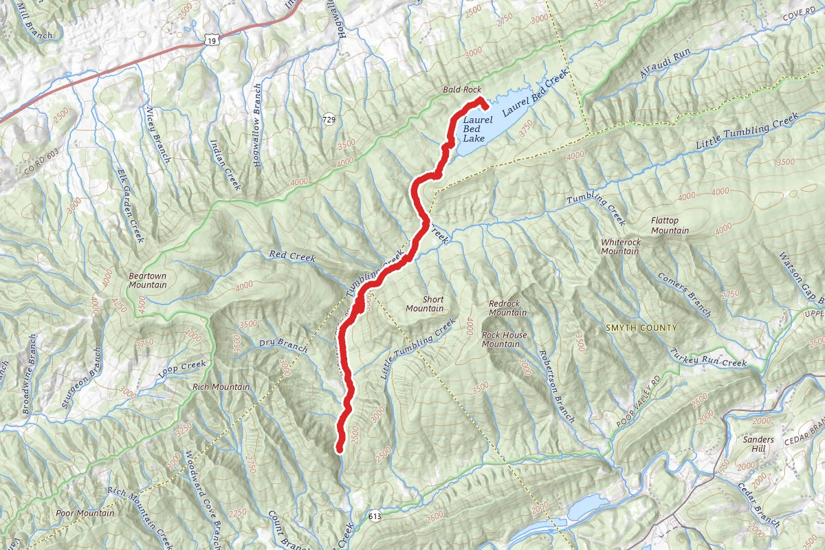 Clinch Mountain Wma Trail