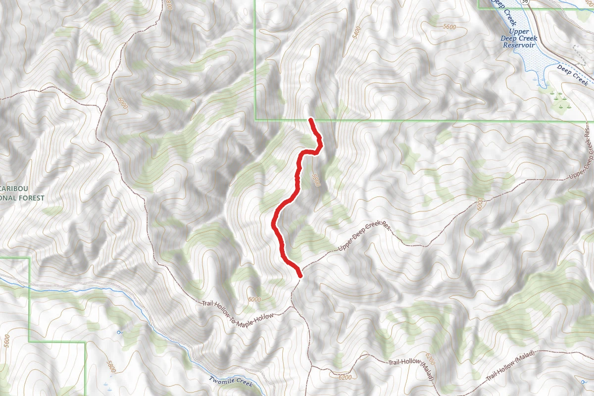 South Fork of Deep Creek