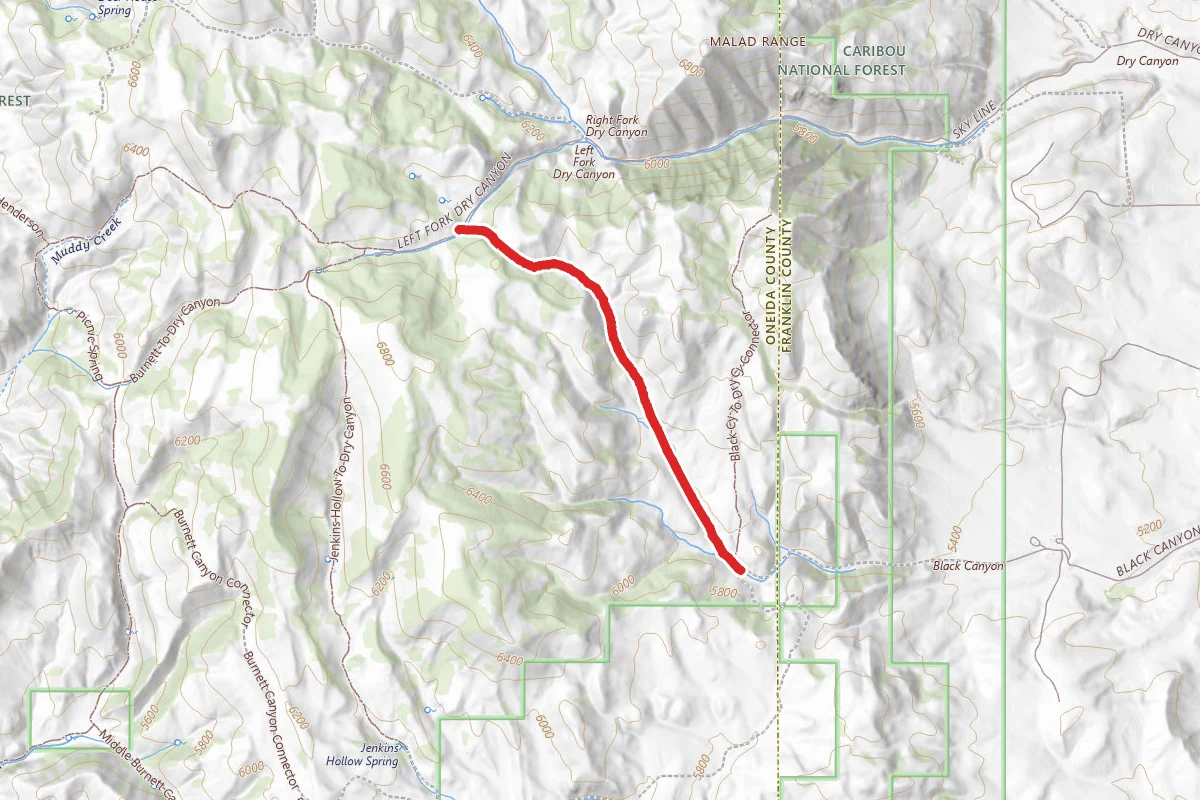 Black Canyon Trail