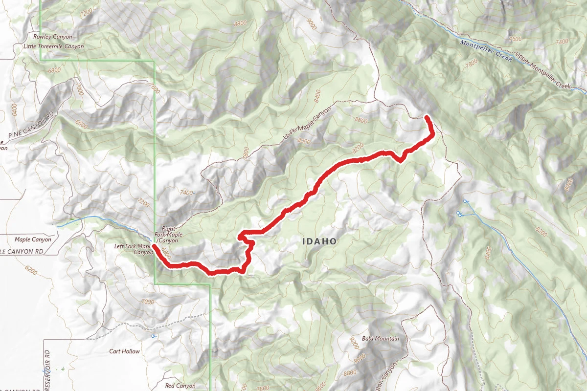 Maple Canyon