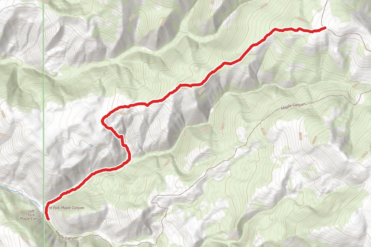 Lt Fk Maple Canyon