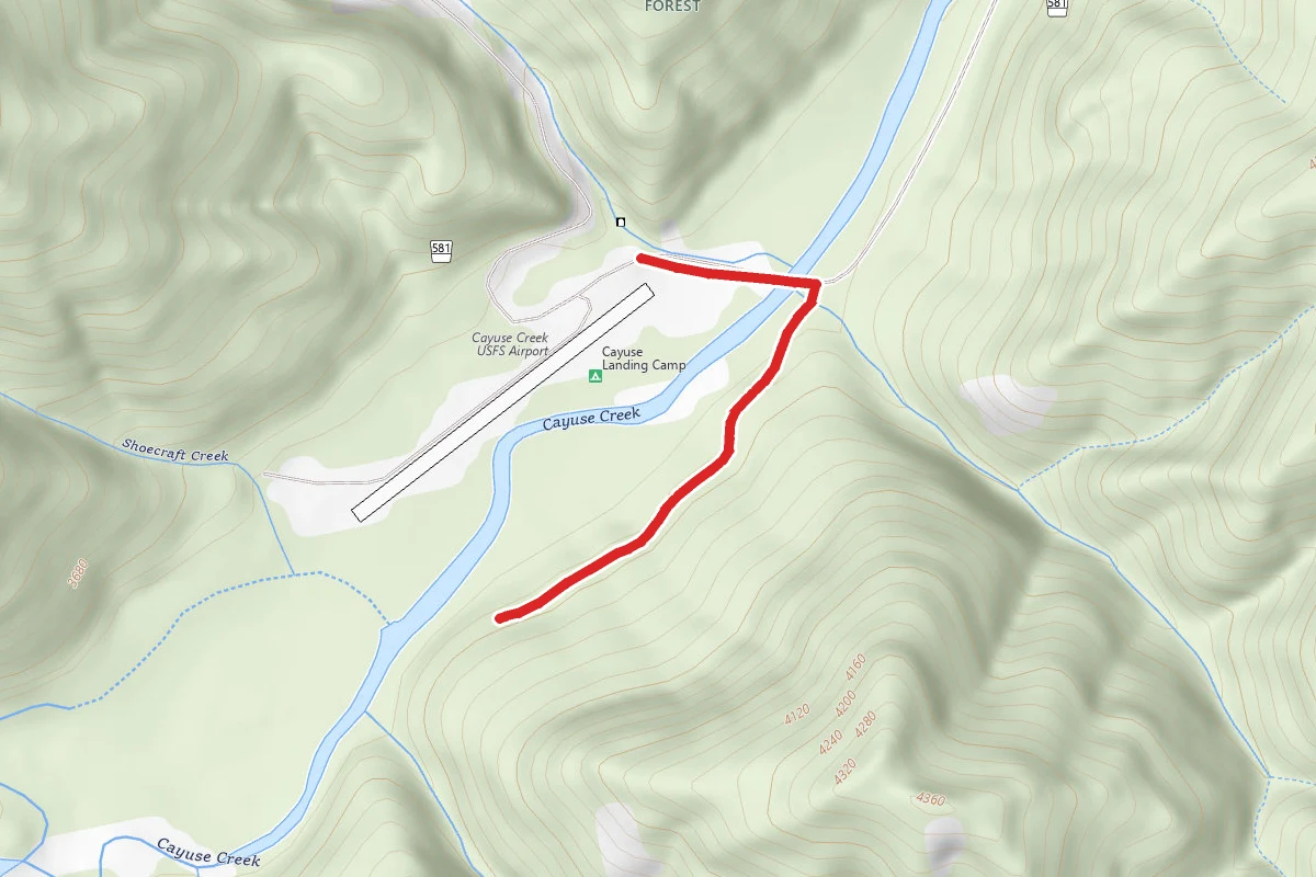Cayuse Creek & Monroe Creek
