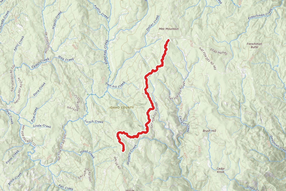 Camp Moose Horn