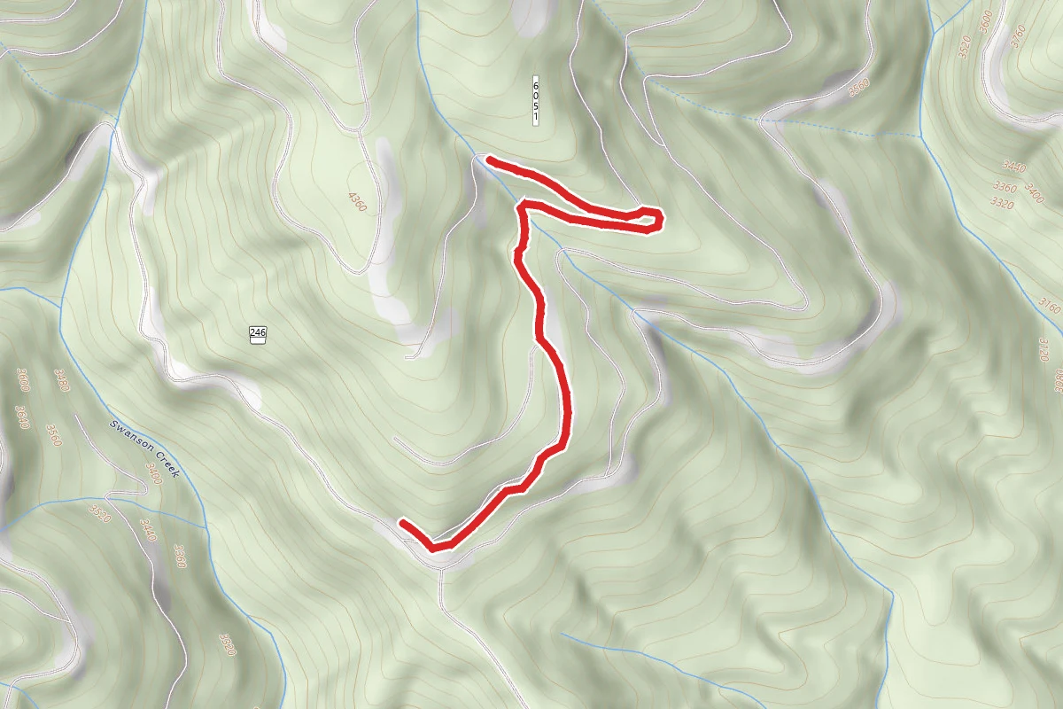 Deadhorse Loop