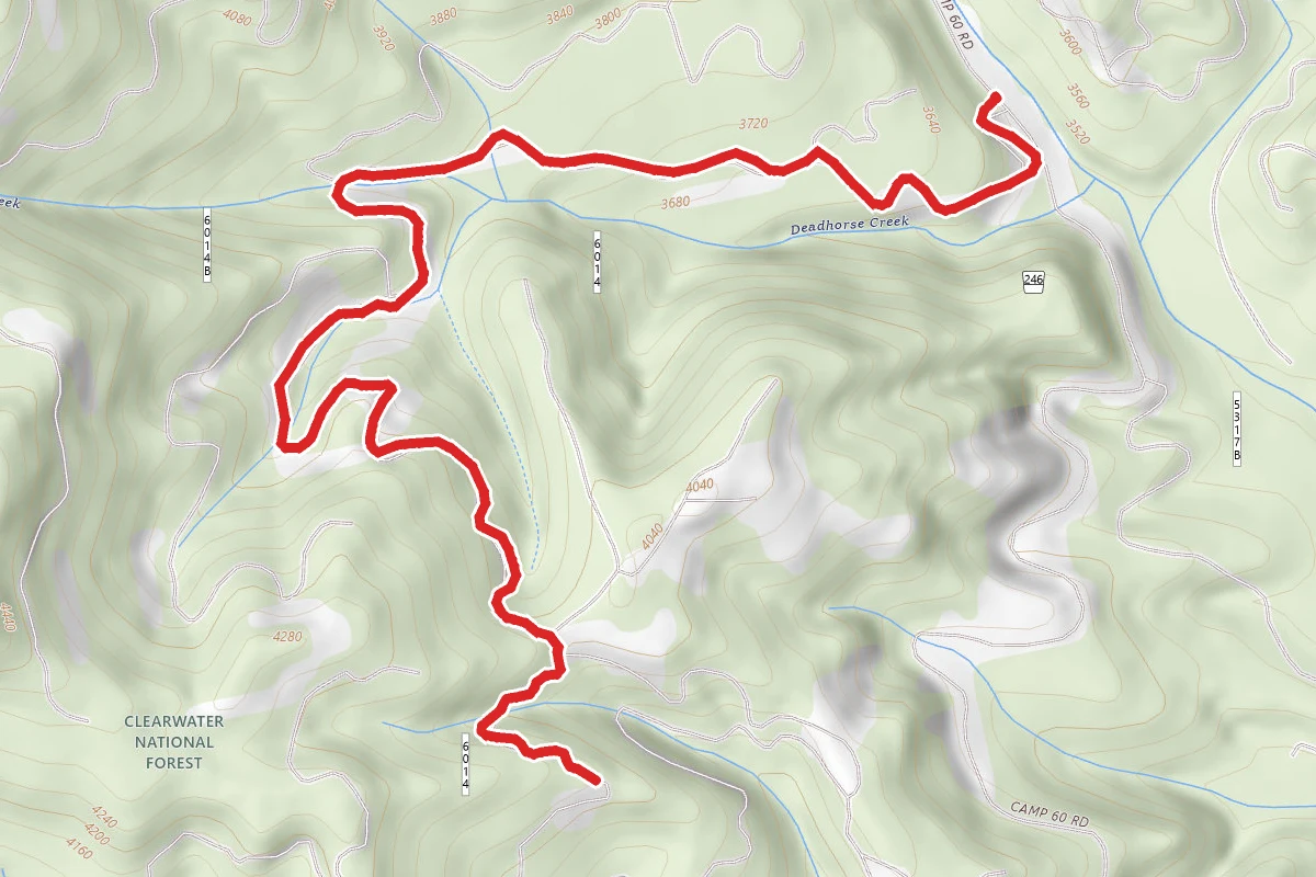 Deadhorse Loop