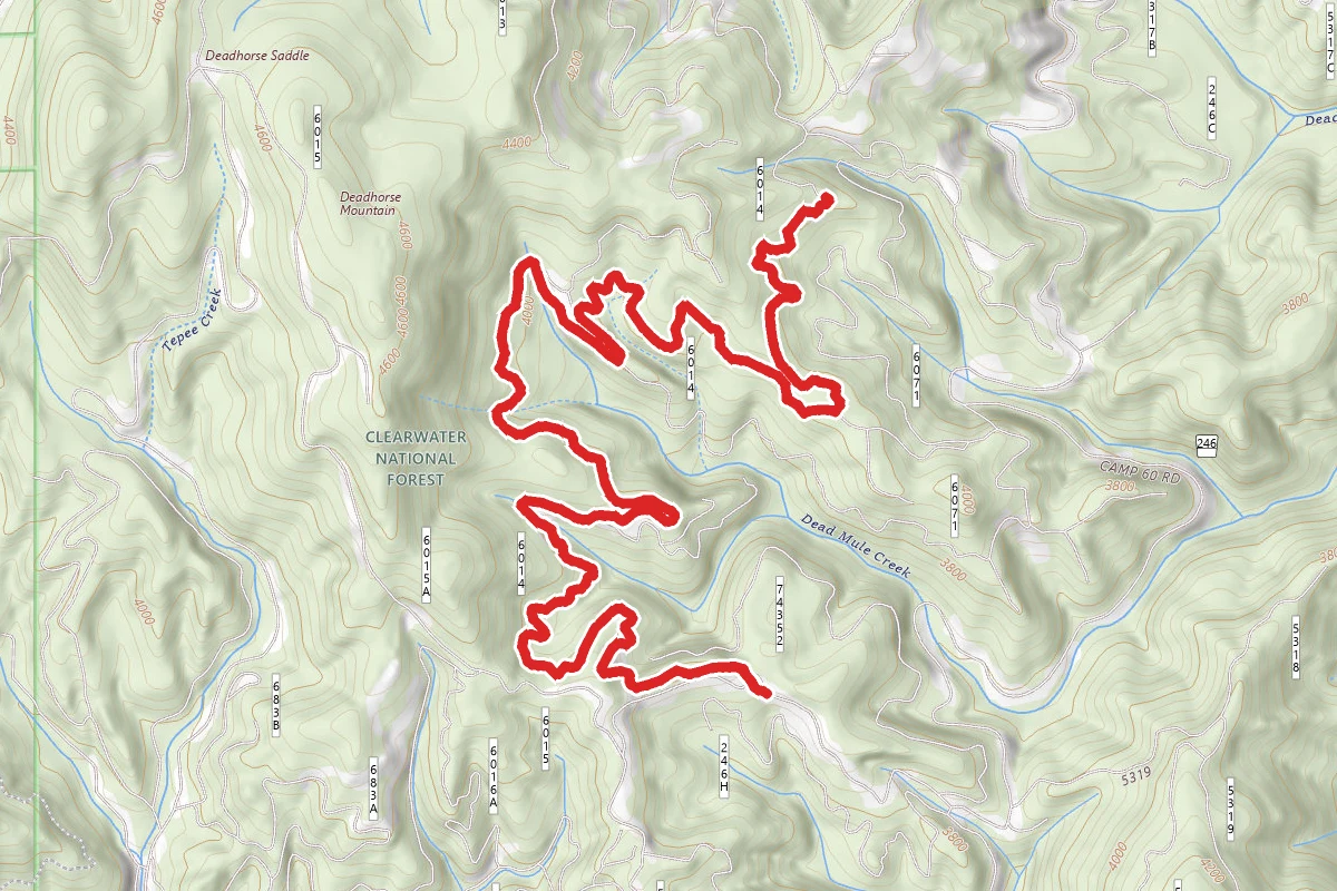 Deadhorse Loop