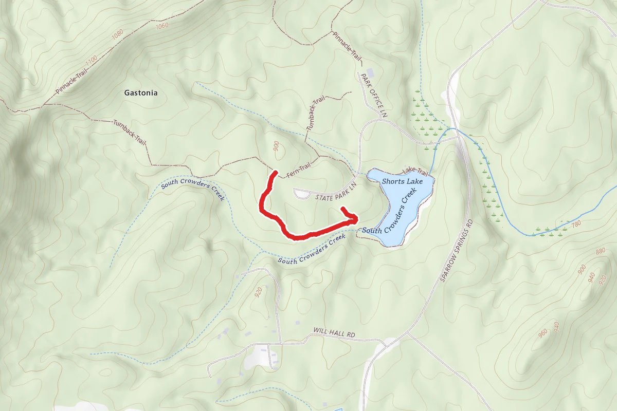 Fern Trail