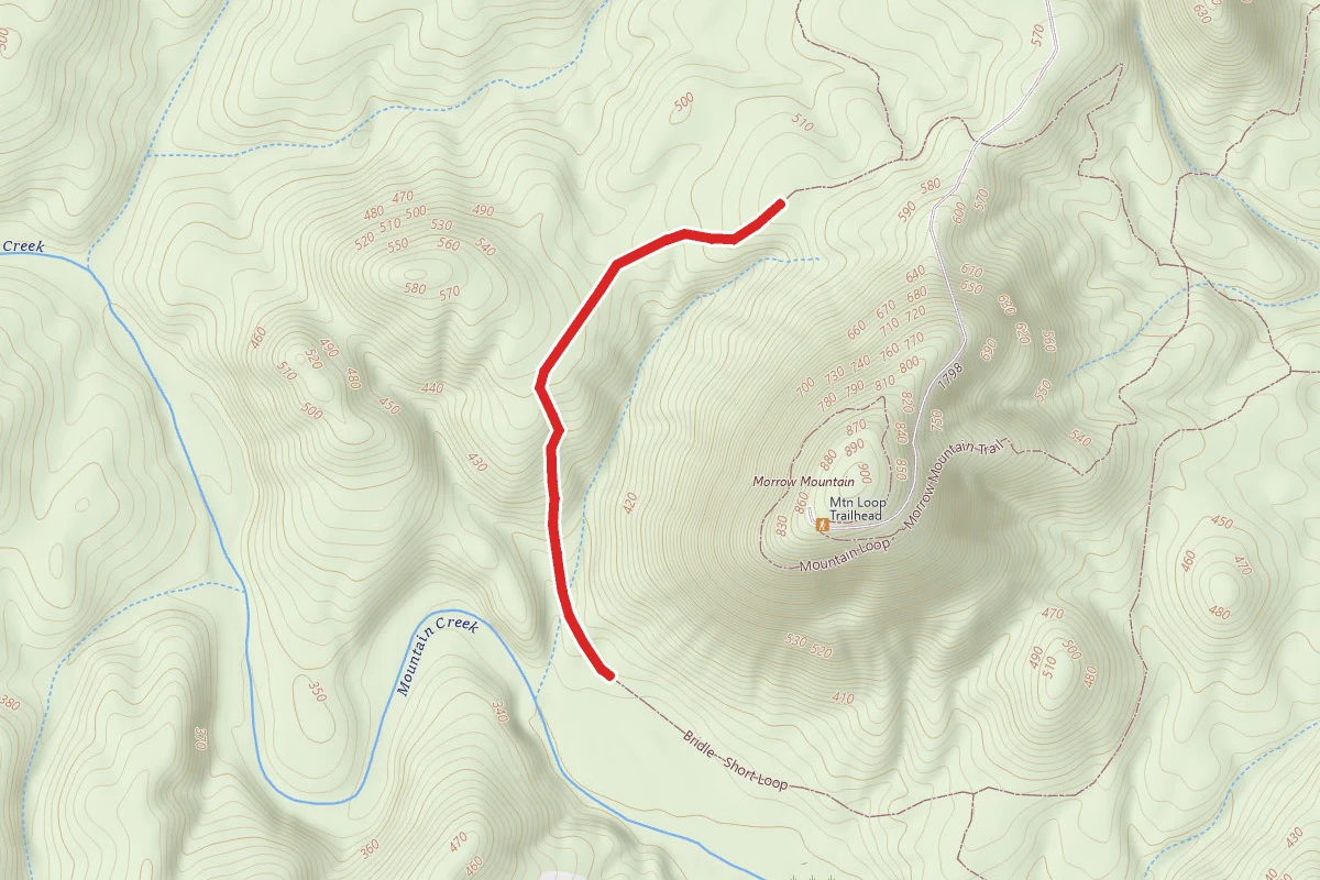 Bridle - Short Loop