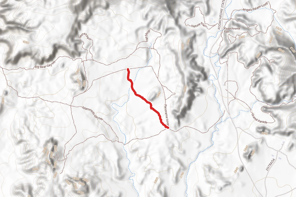 Panorama Loop